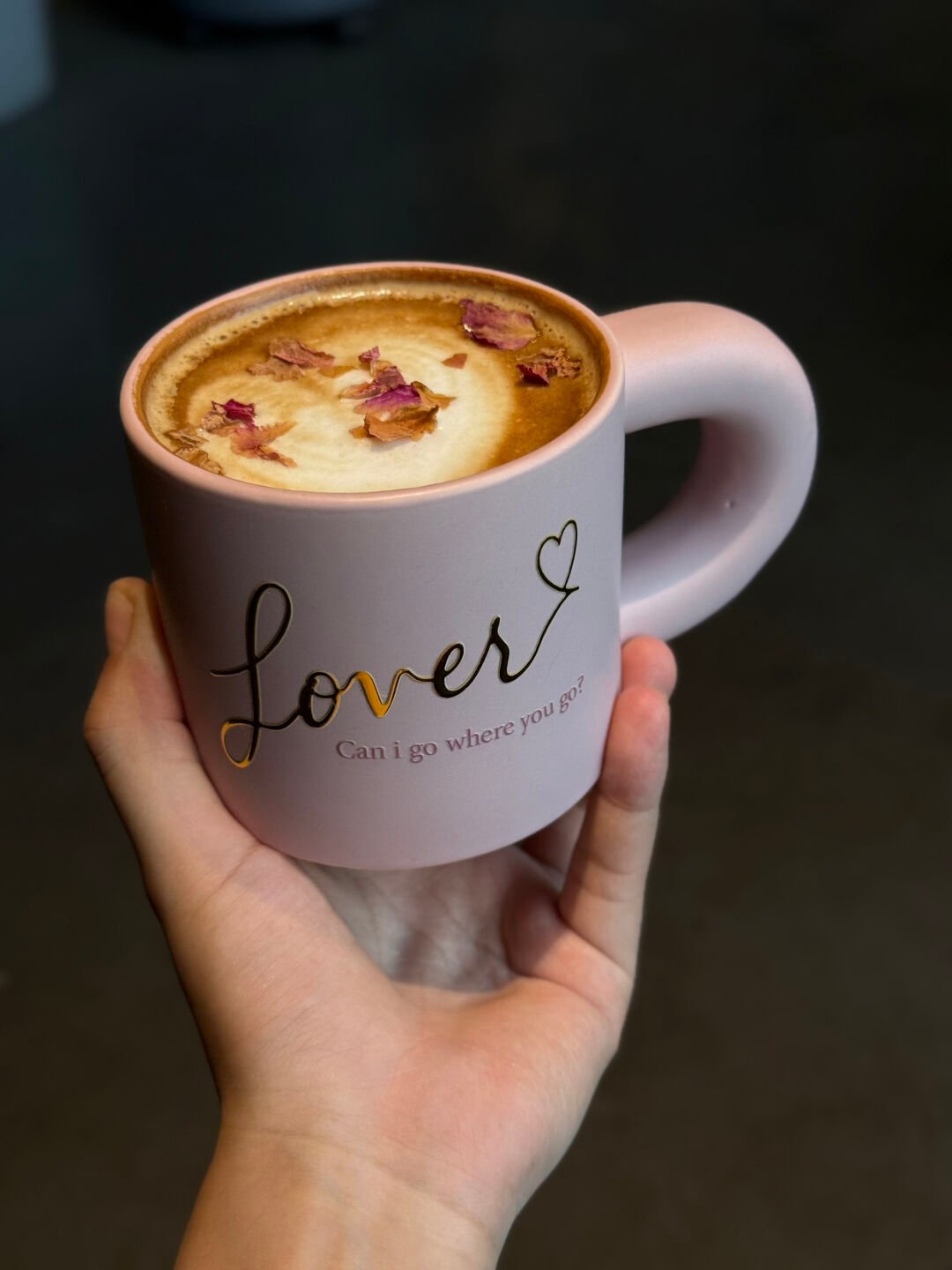 Lover Era Inspired Mug | "Can I Go Where You Go?" Heart Design | 350ml Ceramic Coffee Cup - Image 5